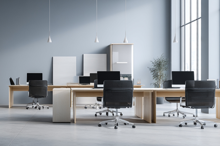 Приватизация нежилых помещений